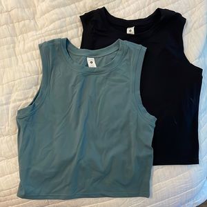 Paragon Fitness Crops